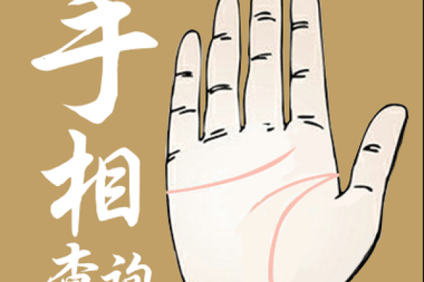 八字和手相