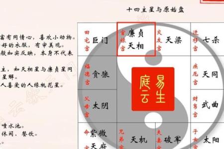 紫薇斗数怎么看主星