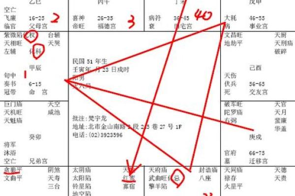 紫薇斗数网上命例