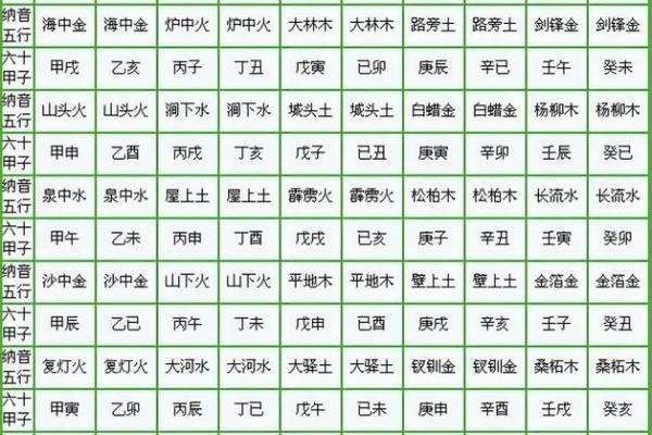 纳音与八字 纳音与八字