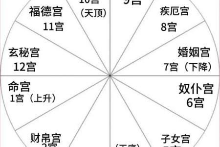 八字事业宫在什么位置