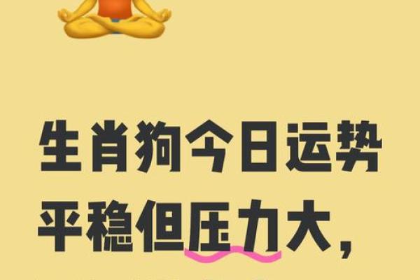 算命先生狗年出生的命运