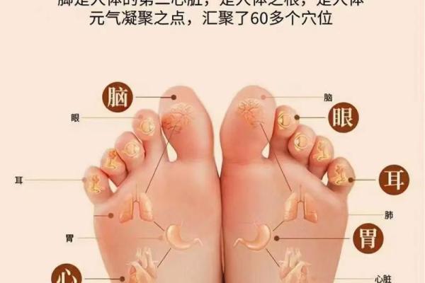 风水最有福气女人的脚型看命运 风水最有福气女人的脚型看命运