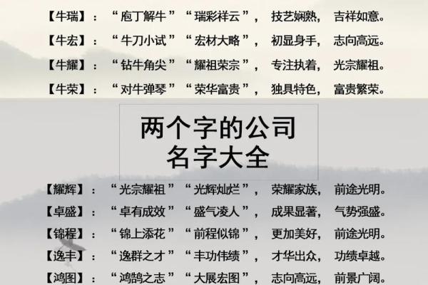 公司名字免费测试大全