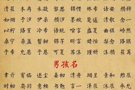 2024年正月二十三出生的孩子命运如何 五行八字命理取名