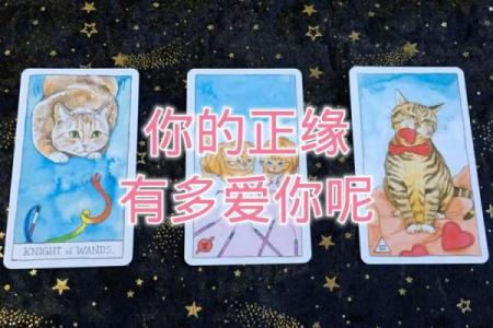 塔罗测试：你会和初恋结婚吗？