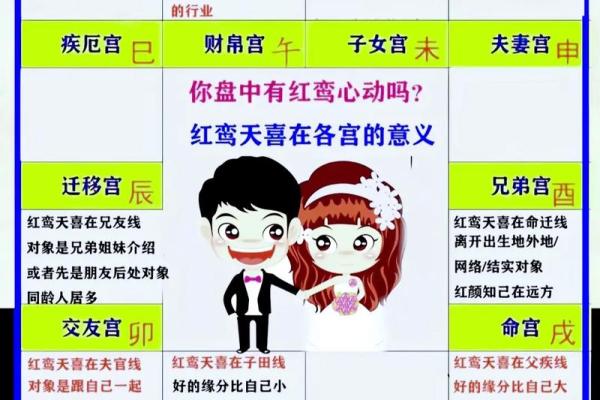 加紫薇斗数术语