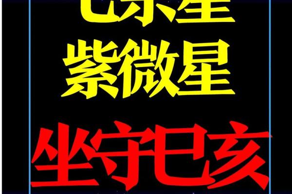 紫薇斗数看自己财 紫薇斗数看自己财