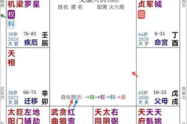 如何通过紫薇斗数看学业