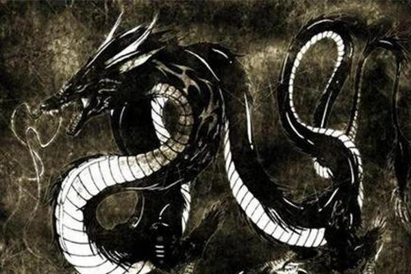 算命先生说儿子是条黑龙