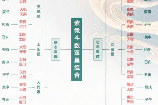 天厨紫薇斗数 天厨紫薇斗数