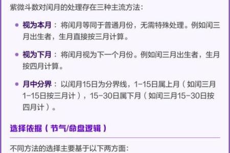 紫微斗数置闰 紫微斗数术语？