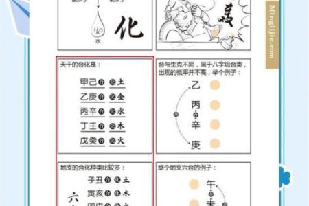 八字不合不合