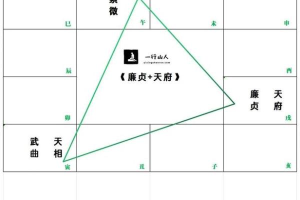 紫薇斗数欧美篇