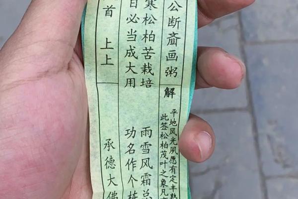 风信子免费算命 免费算命你的风信子会开吗 风信子免费算命 免费算命你的风信子会开吗