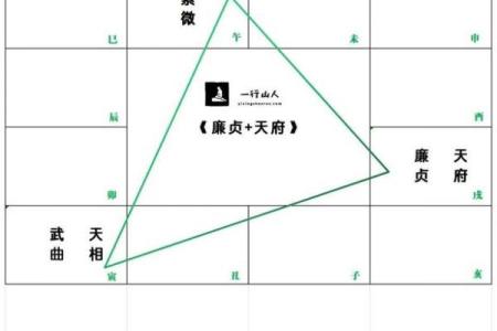 紫薇斗数欧美篇