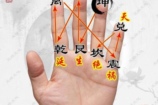 一掌经算命实例 一掌经算命实例