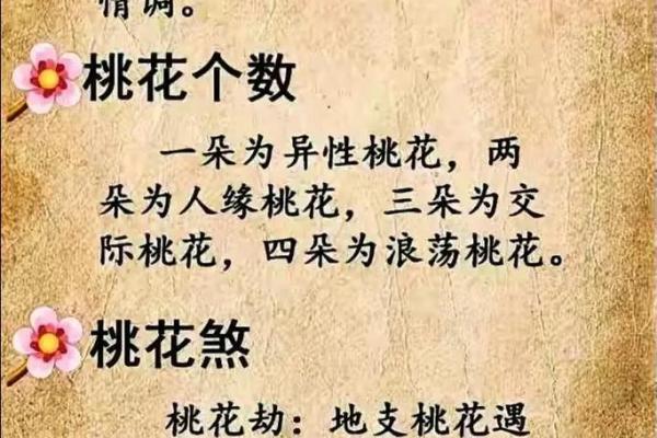 神煞里有桃花是什么意思,桃花神煞在四柱(详解 与桃花有关的八字命运)