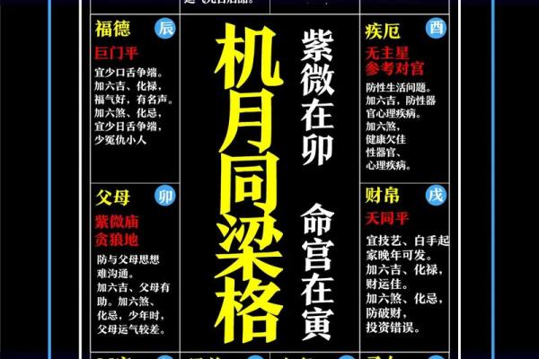 改良紫薇斗数全书