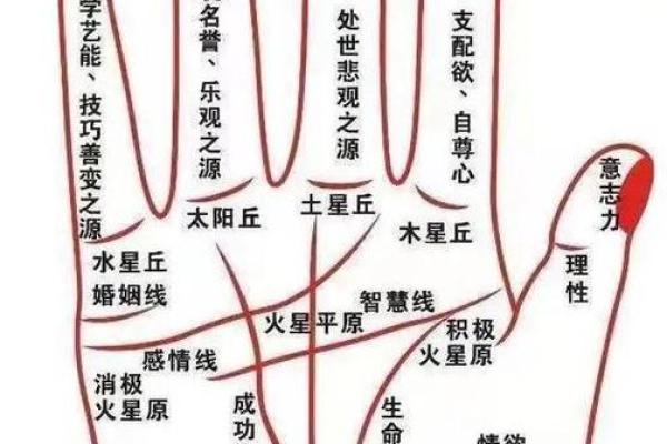 女人手相算命图解 女人手相算命图解