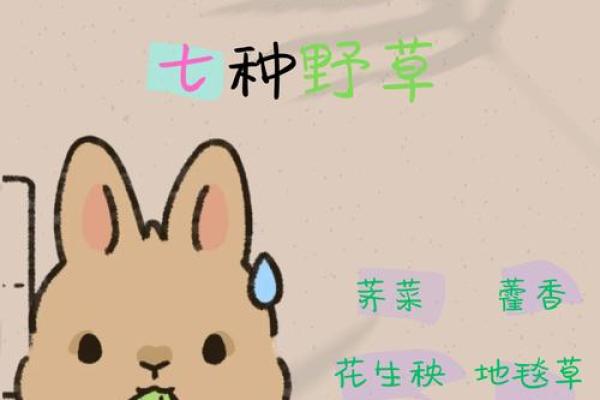 算命兔子在吃草,兔吃草是什么命