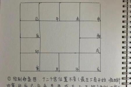 庄式紫薇斗数排盘