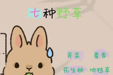 算命兔子在吃草,兔吃草是什么命