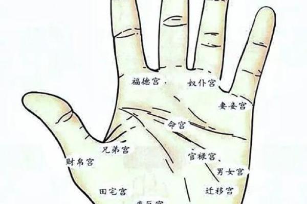 凯帝阿手相算命图解大全02