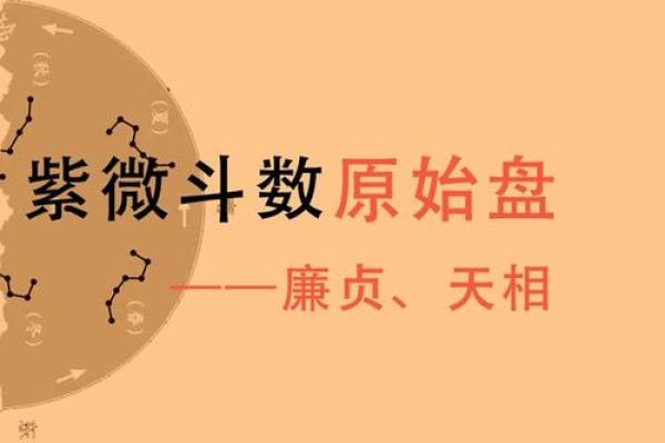 《紫微斗数》:廉贞破军在卯酉宫 《紫微斗数》:廉贞破军在卯酉宫