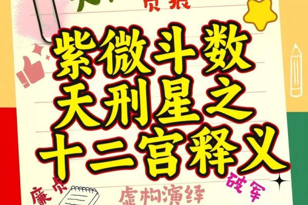 紫微斗数太阳太阴在疾厄宫