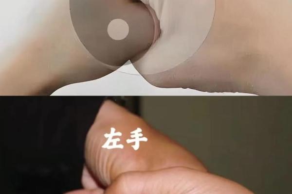 算命的手势,各种手势图片大全