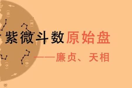 《紫微斗数》：廉贞破军在卯酉宫