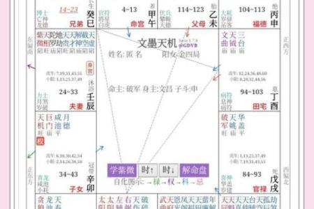 紫薇斗数测国运