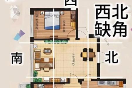 房子带后门的风水好吗