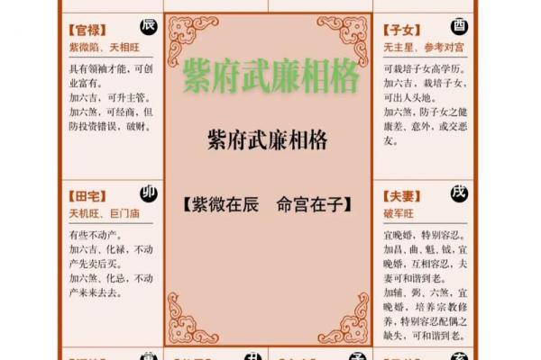 阿道夫紫薇斗数