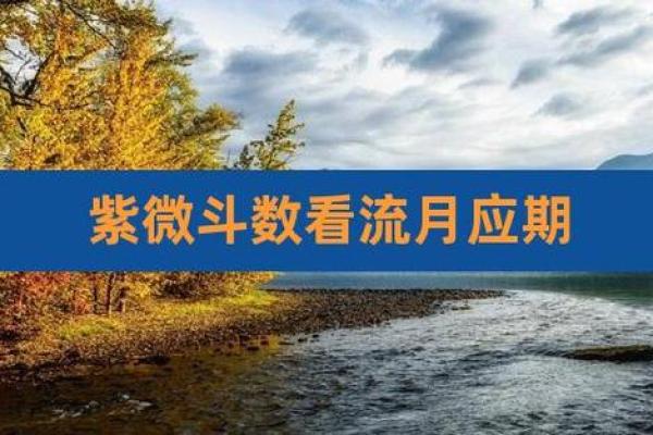 紫薇斗数流月是农历吗