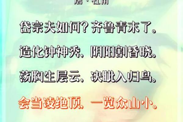 东有小山紫薇斗数7