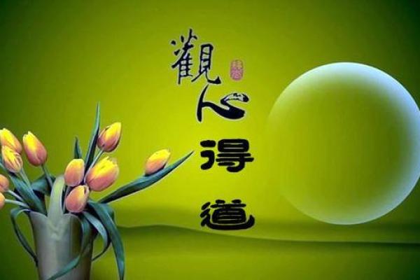 风水命理_主角叫王文涛闫思彤的小说