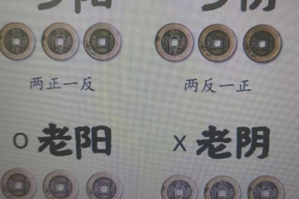 算命被说输阳气