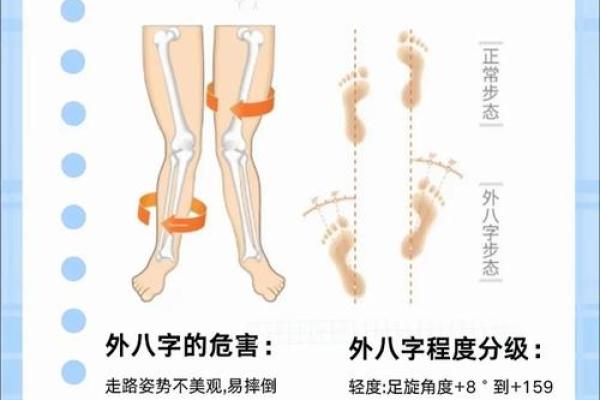 八字腿图片
