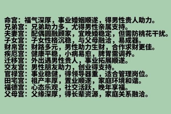 紫薇斗数命宫主星太阳