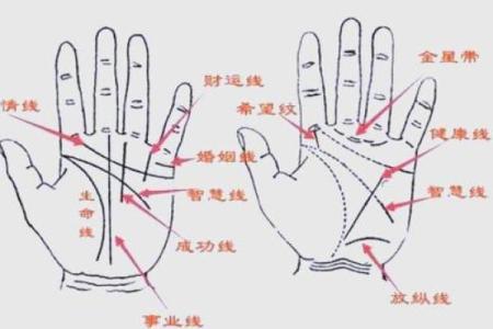 断掌算命,断掌上面还有感情线