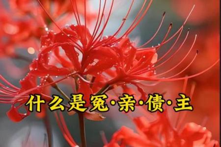 紫薇斗数冤亲债主