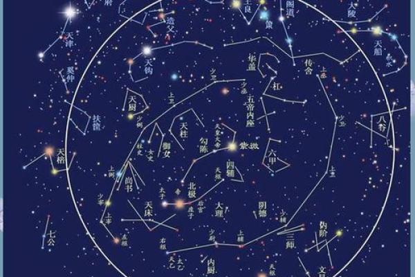 紫薇斗数的紫薇星