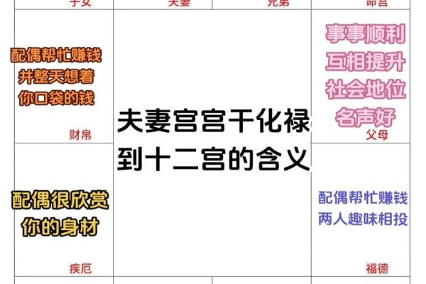 紫微斗数之夫妻宫与诸星,贪狼星在夫妻宫是什么意思? 紫微斗数之夫妻宫与诸星,贪狼星在夫妻宫是什么意思?