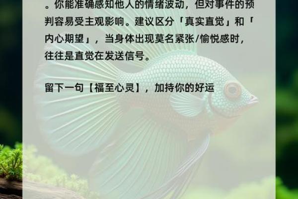 心理测试-你喜欢哪个书签,测测你的第六感准不准 心理测试-你喜欢哪个书签,测测你的第六感准不准