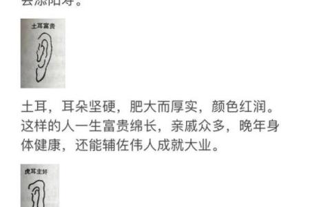 从面相看耳朵，耳朵面相算命图解