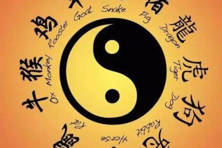 广州哪里算命好