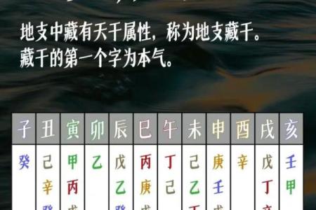 八字-人元（论地支遁藏即地支藏干）