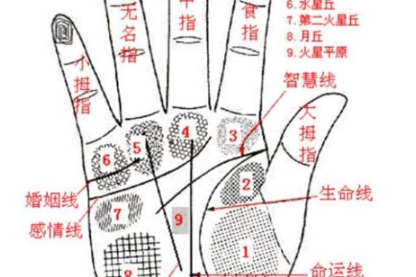 头发做法事和合,算命的人说的用头发跟指甲进行